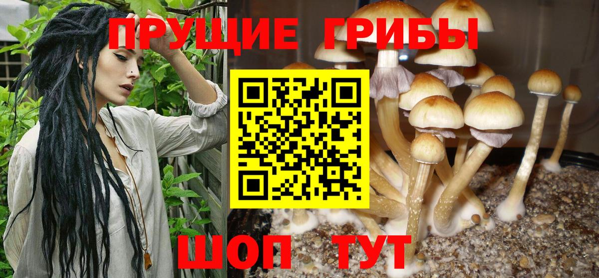 Владивосток  Галлюциногенные грибы MAGIC MUSHROOMS  Вход с VPN 